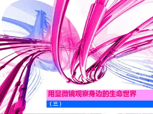 六年级科学《用显微镜观察身边的生命世界三》教学设计课件