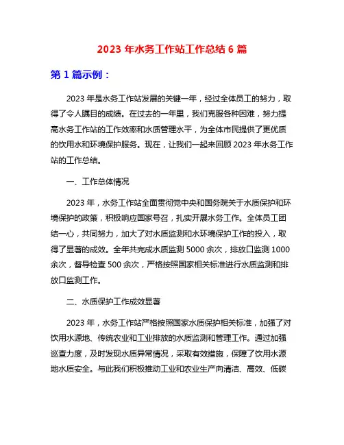 2023年水务工作站工作总结6篇