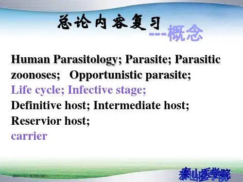 线虫本科PPT课件