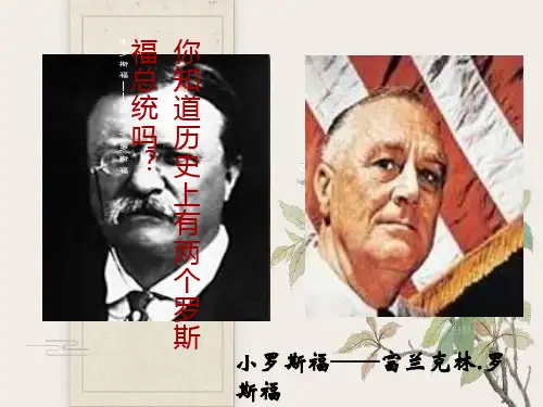 高一历史罗斯福新政