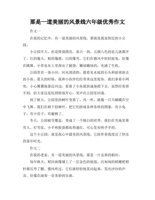 那是一道美丽的风景线六年级优秀作文