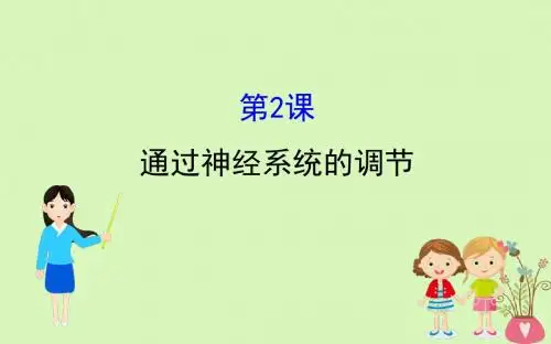 2019届高考生物一轮复习第八单元生命活动的调节第2课通过神经系统的调节课件新人教版