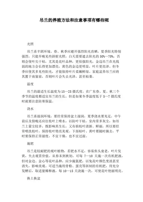 吊兰的养殖方法和注意事项有哪些呢