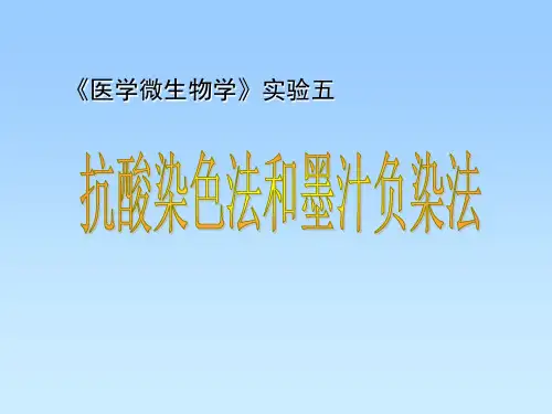 《医学微生物学》实验五-抗酸染色与墨汁负染实验