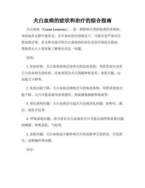 犬白血病的症状和治疗的综合指南