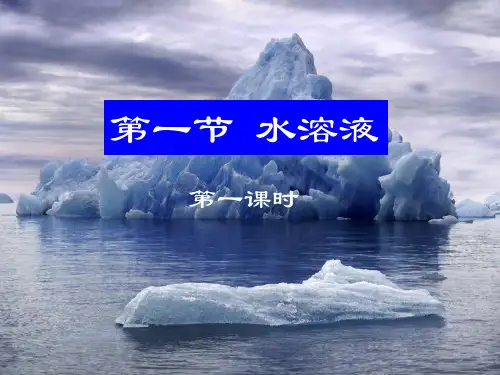 高中化学课件 水溶液