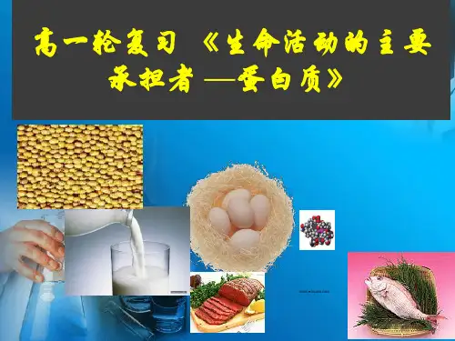 生命活动的主要承担者—蛋白质高三生物高考一轮复习PPT课件(原文)