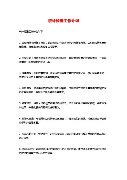 统计检查工作计划