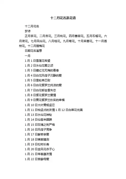 十二月花名及花语