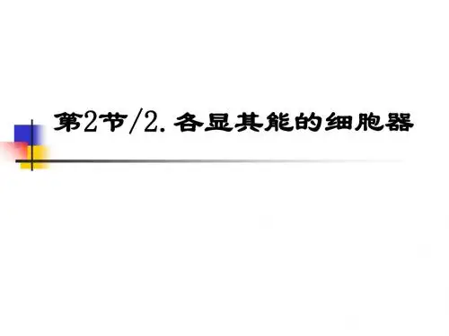 沪科版生物高中第一册3.2《细胞器》(共18张PPT)