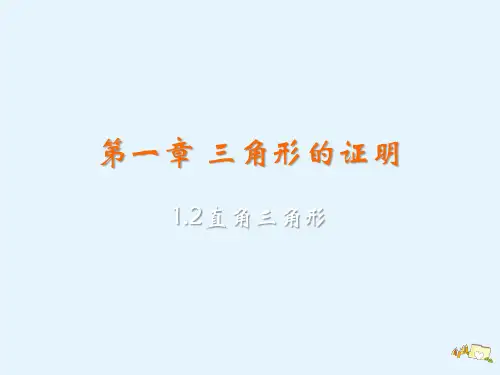 北师大版八年级数学下册课件第一章1.2直角三角形