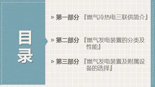 燃气冷热电三联供系统发电装置