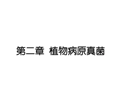 2第二章 真菌(鞭毛、接合菌)(1)-1