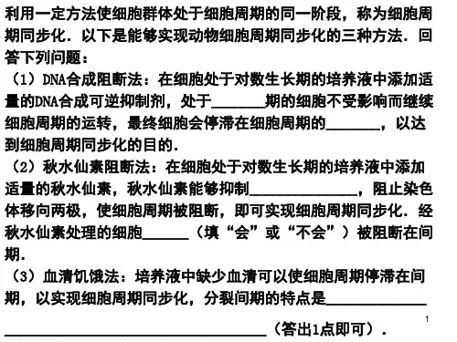 细胞周期的同步化(课堂PPT)
