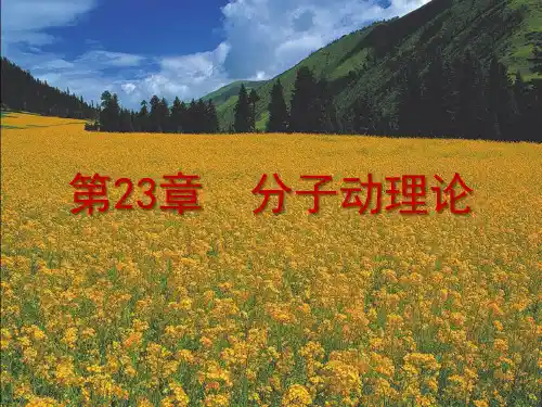 分子动理论的基本内容(第01课时)(高中物理教学课件)完整版3