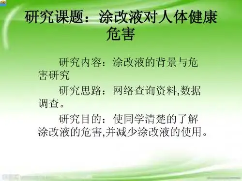 研究课题：涂改液