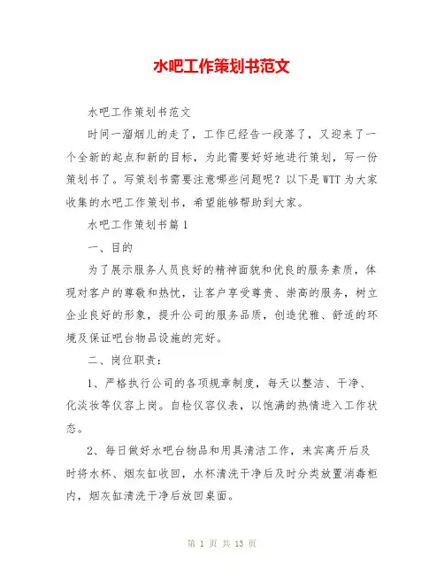 水吧工作策划书范文