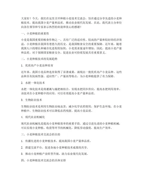 种植小麦技术交流会发言稿