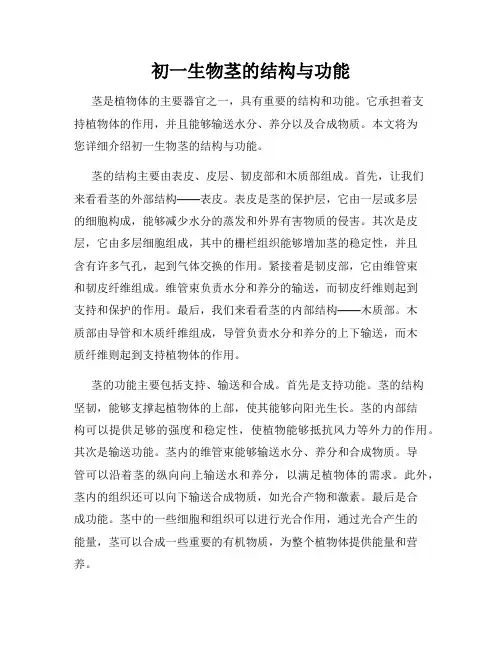 初一生物茎的结构与功能