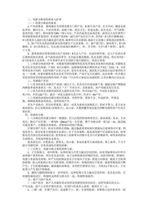 哺乳母猪饲养管理