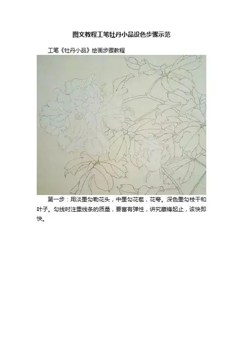 图文教程工笔牡丹小品设色步骤示范