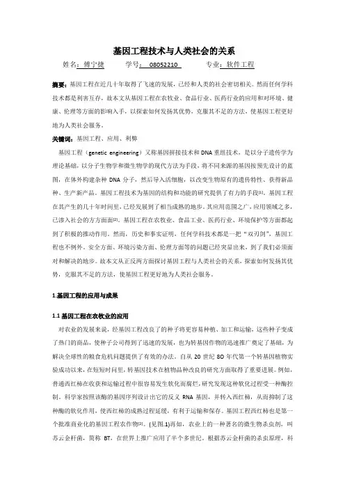基因工程技术与人类社会的关系-现代遗传学概论报告
