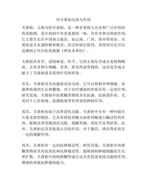 炒关黄柏功效与作用