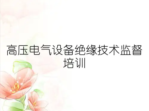 高压电气设备绝缘技术监督培训