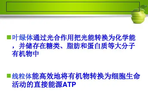 细胞的能量转换(共132张PPT)