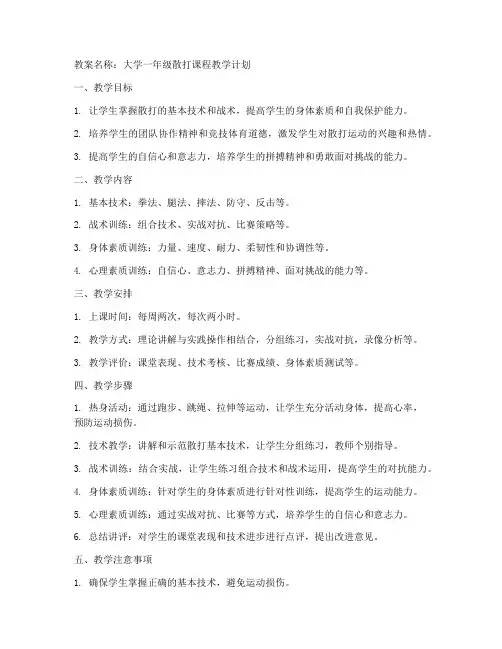 散打教案大学一年级