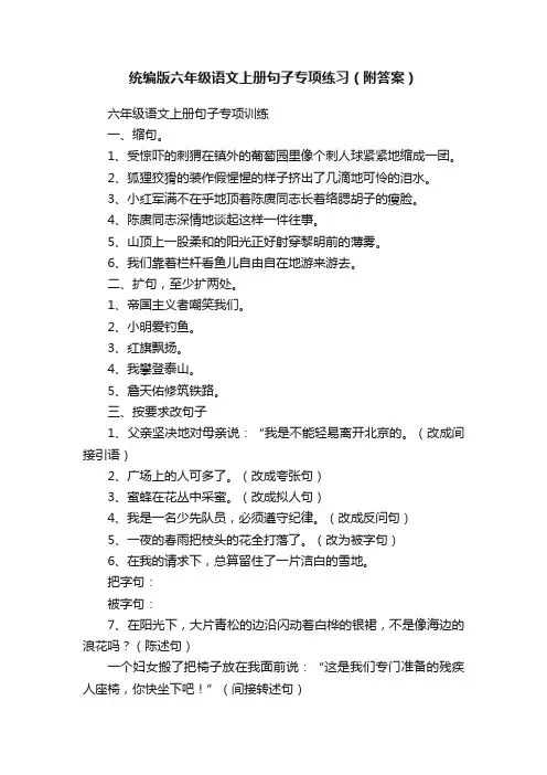 统编版六年级语文上册句子专项练习（附答案）