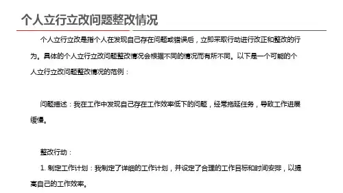 个人立行立改问题整改情况