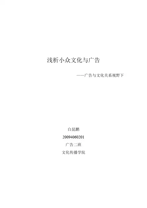 小众文化与广告.doc