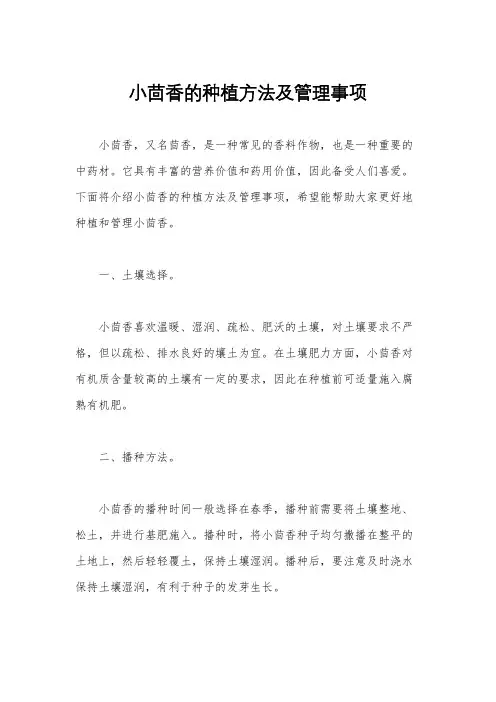 小茴香的种植方法及管理事项
