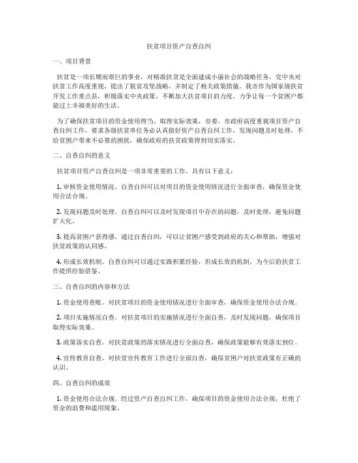 扶贫项目资产自查自纠