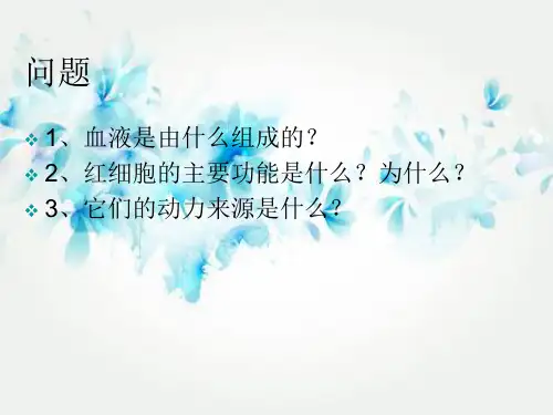 心脏和血管PPT教学课件