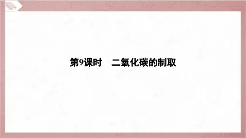 2025年中考化学总复习一轮考点梳理第9课时二氧化碳的制取