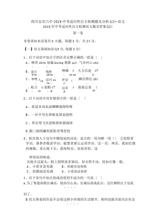 四川宜宾六中2019中考适应性自主检测题及解析(12)-语文