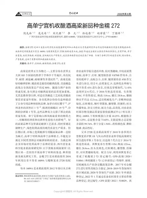 高单宁宜机收酿酒高粱新品种金糯272 　