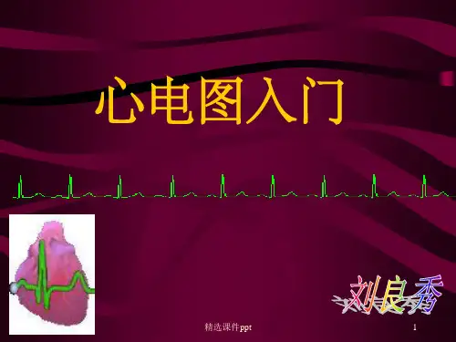 《心电图讲》PPT课件