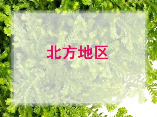 红松之乡_教案_(七下_历史与社会_新教材_浙江)__初中_初一_七年级_下