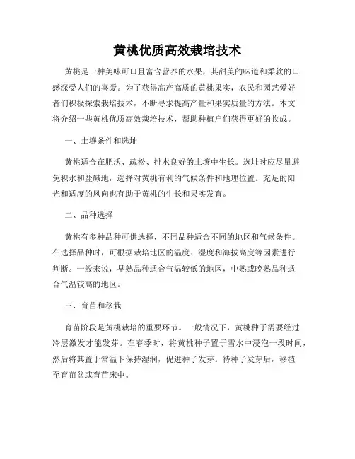 黄桃优质高效栽培技术