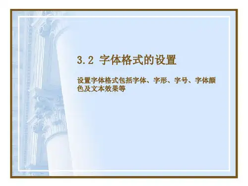 字体格式的设置