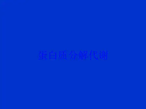 蛋白质分解代谢培训课件