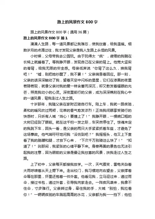 路上的风景作文800字