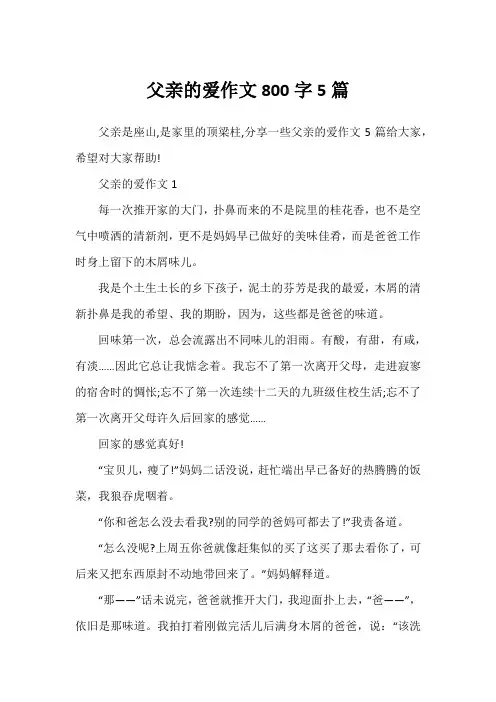 父亲的爱作文800字5篇