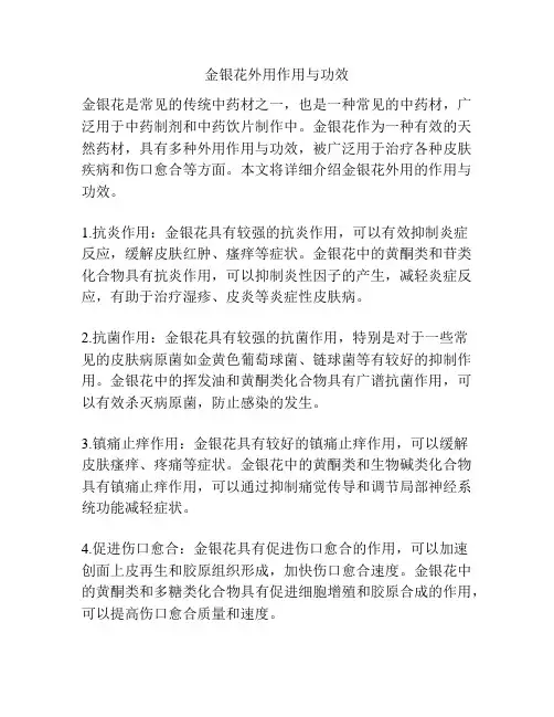 金银花外用作用与功效