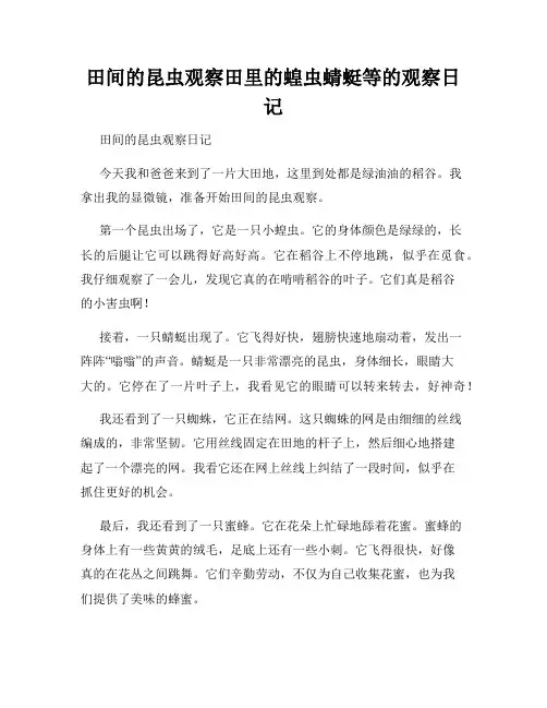小学三年级作文田间的昆虫观察田里的蝗虫蜻蜓等的观察日记