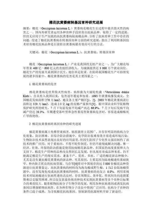 棉花抗黄萎病转基因育种研究进展