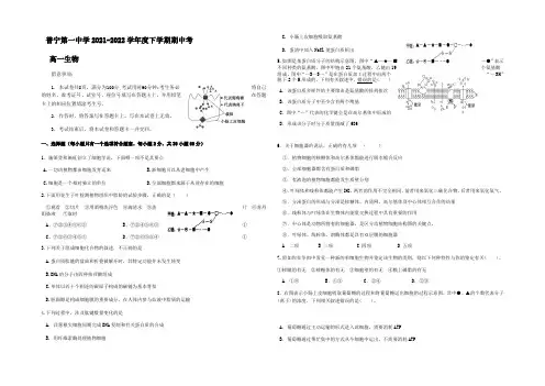 广东省普宁市第一中学2021-2022学年高一下学期期中考试生物试题 Word版含答案